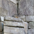 viscacha near the royal tomb