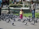 little girl surrounded by pigeons