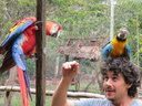 Anthony with macaws