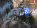 Saddleback tamarin on little girl's head