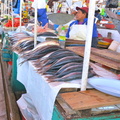 fish, San Camilo market