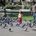 little girl surrounded by pigeons