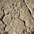llama petroglyphs