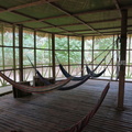 Otorongo Lodge hammock room